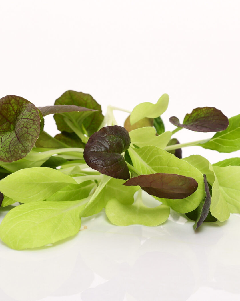 Pak choi