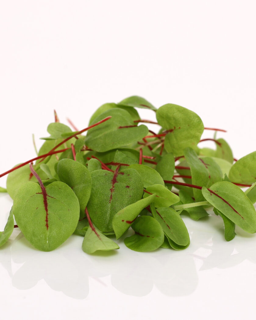 Red sorrel