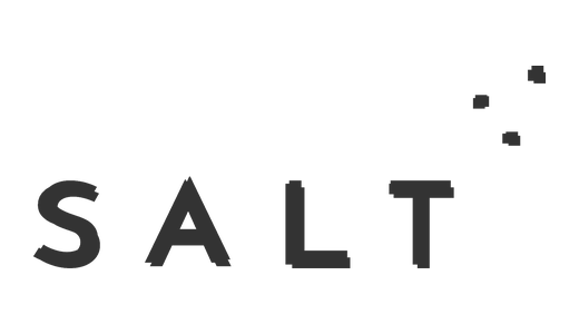 SALT Budapest