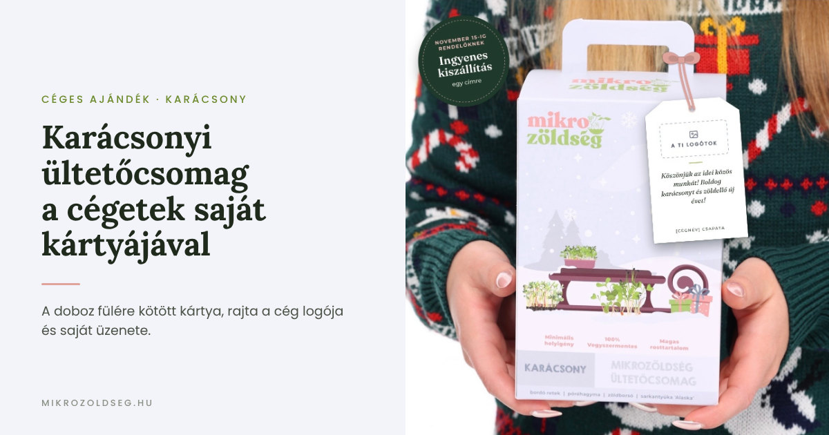Mikrozöldség karácsonyi ültetőcsomag céges ajándéknak, a doboz fülére kötött kártyán a cég logójával és üzenetével